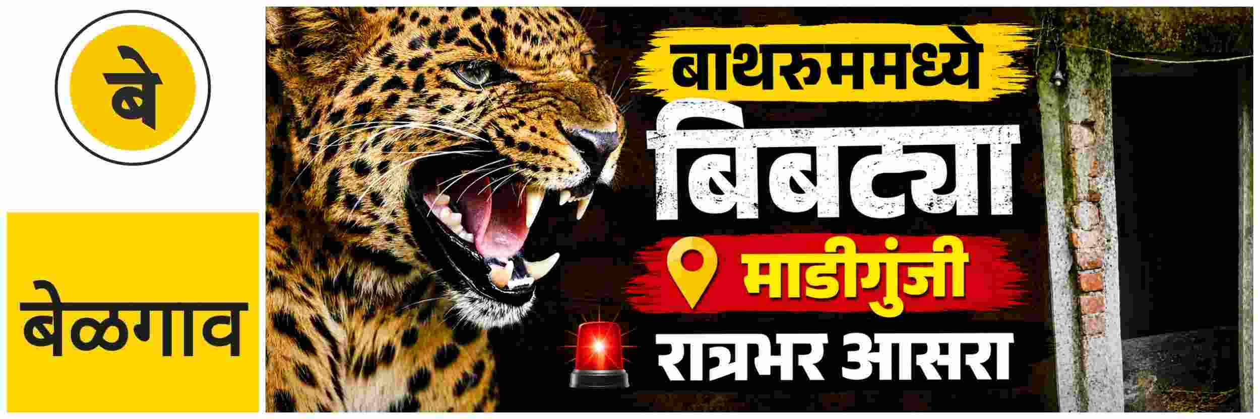 news_70312