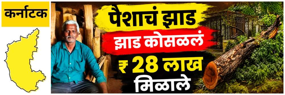 news_69843