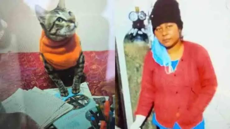 लाडकी मांजर, 3 दिवस घरातच ठेवला मृतदेह, चौथ्या दिवशी मालकिणीनं....