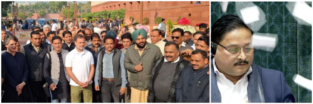 लोकसभेत 8 खासदारांचं निलंबन;