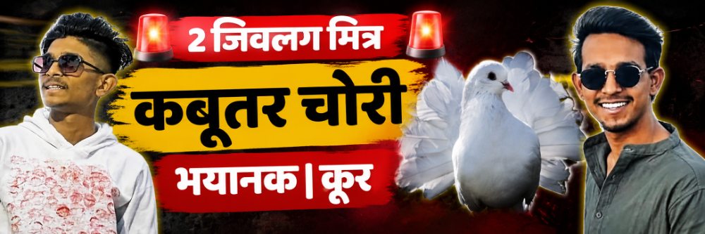 news_70186
