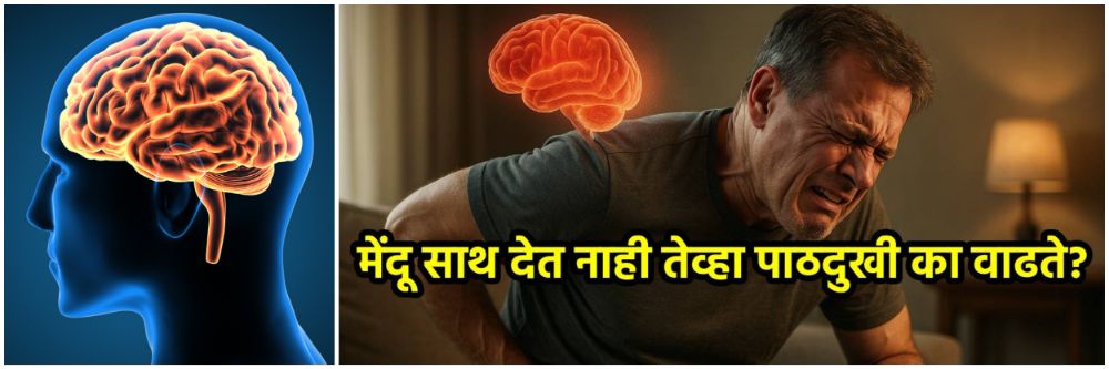 मेंदू साथ देत नाही तेव्हा पाठदुखी वाढते का?