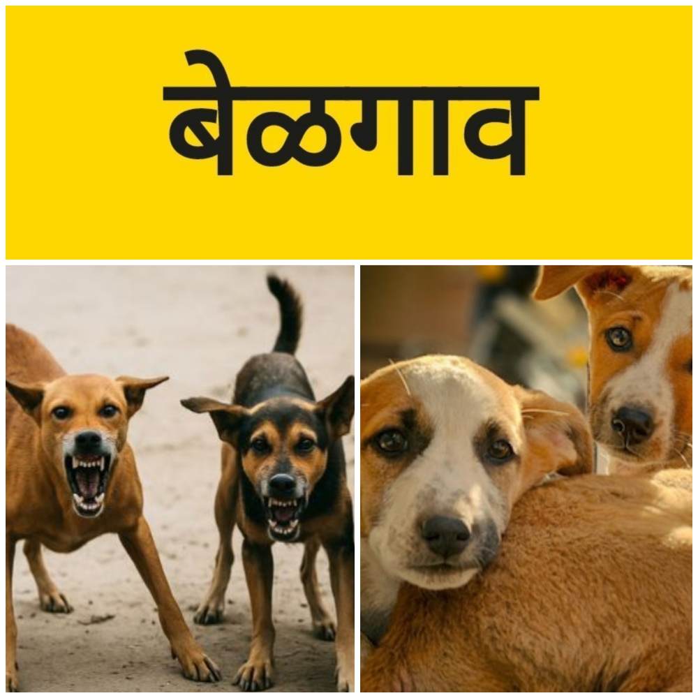 बेळगाव; कुत्र्याचा बालिकेवर हल्ला; @ छत्रपती शिवाजी महाराज उद्यान