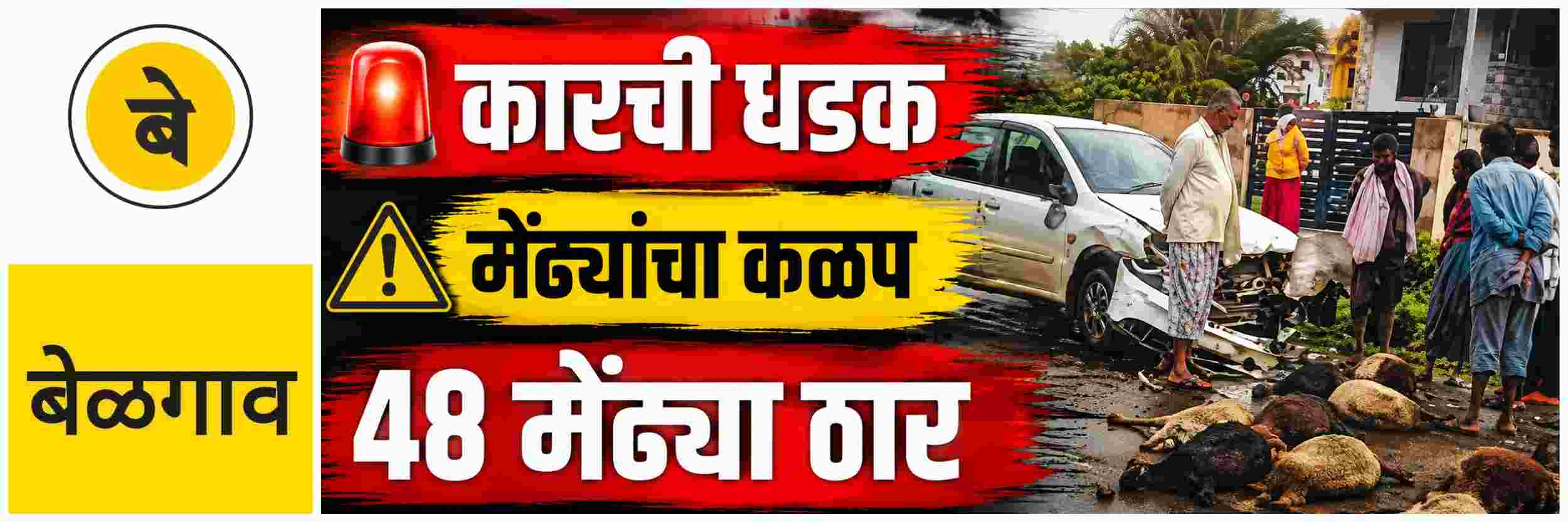 @ बेळगाव; भरधाव कारची मेंढ्यांच्या कळपाला जोरदार धडक