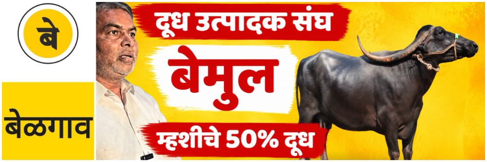 news_70189