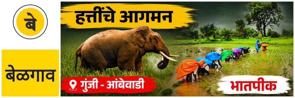 news_70239