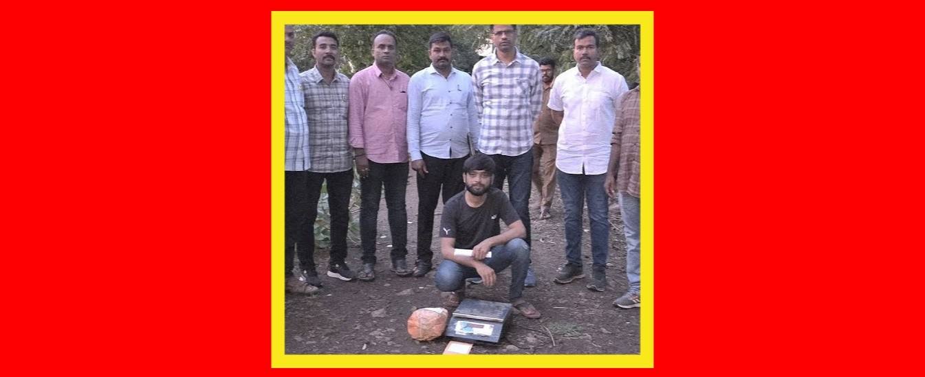 बेळगाव : गांजा तस्करी — एकास अटक