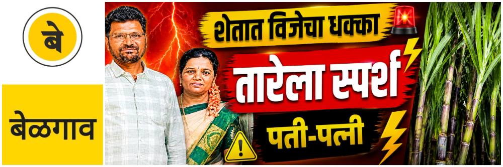 @ बेळगाव; शेतात विजेचा धक्का; दाम्पत्याचा मृत्यू