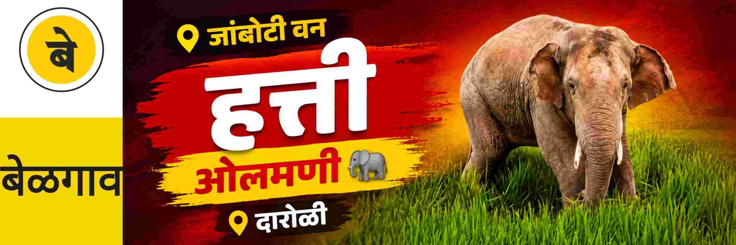 @ बेळगाव; @ओलमणी — दारोळी; हत्ती