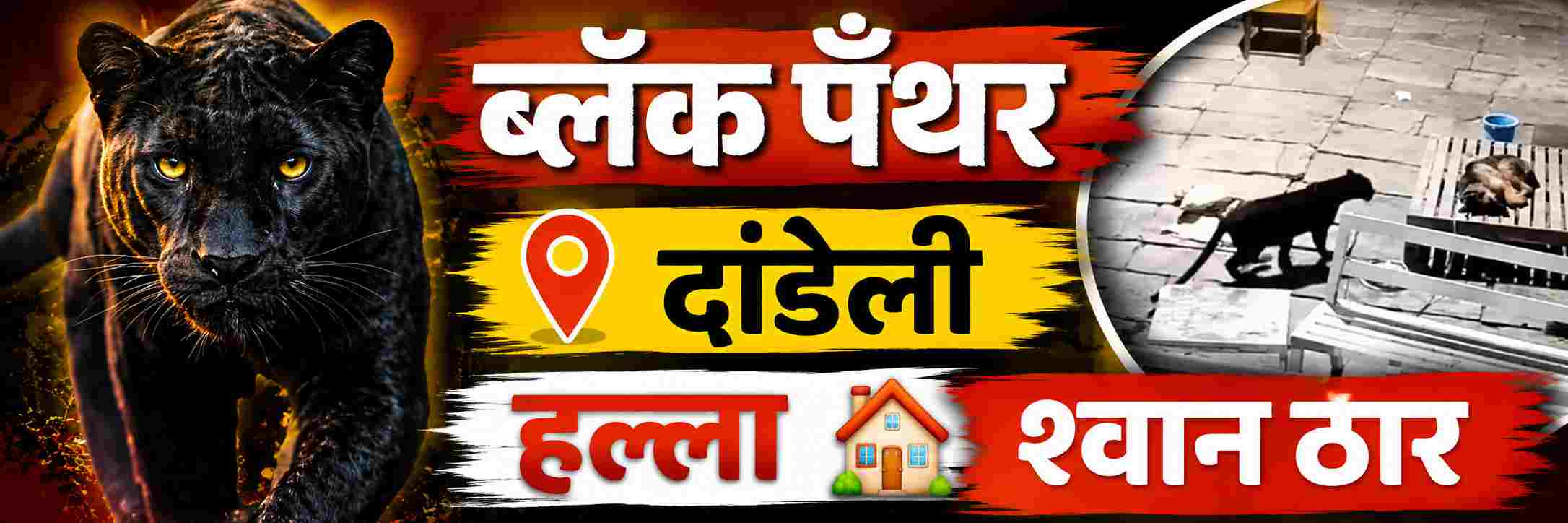@ कर्नाटक; बिबट्याच्या हल्ल्यात जर्मन शेफर्ड श्वान ठार