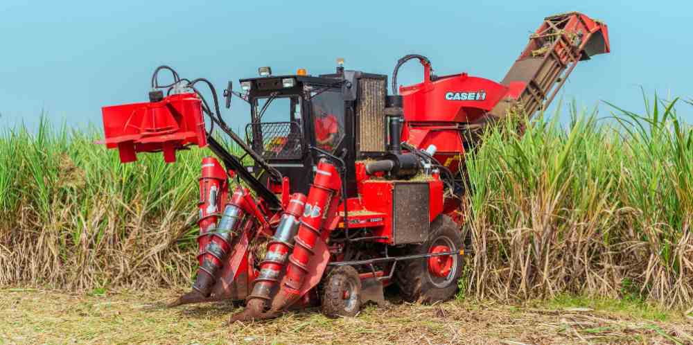 बेळगाव : ऊस तोडताना मशीनमध्ये अडकून शेतकरी महिला ठार @सप्तसागर