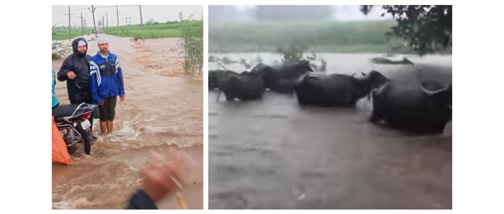 बेळगाव : @कुडची ढगफुटीसदृश पाऊस