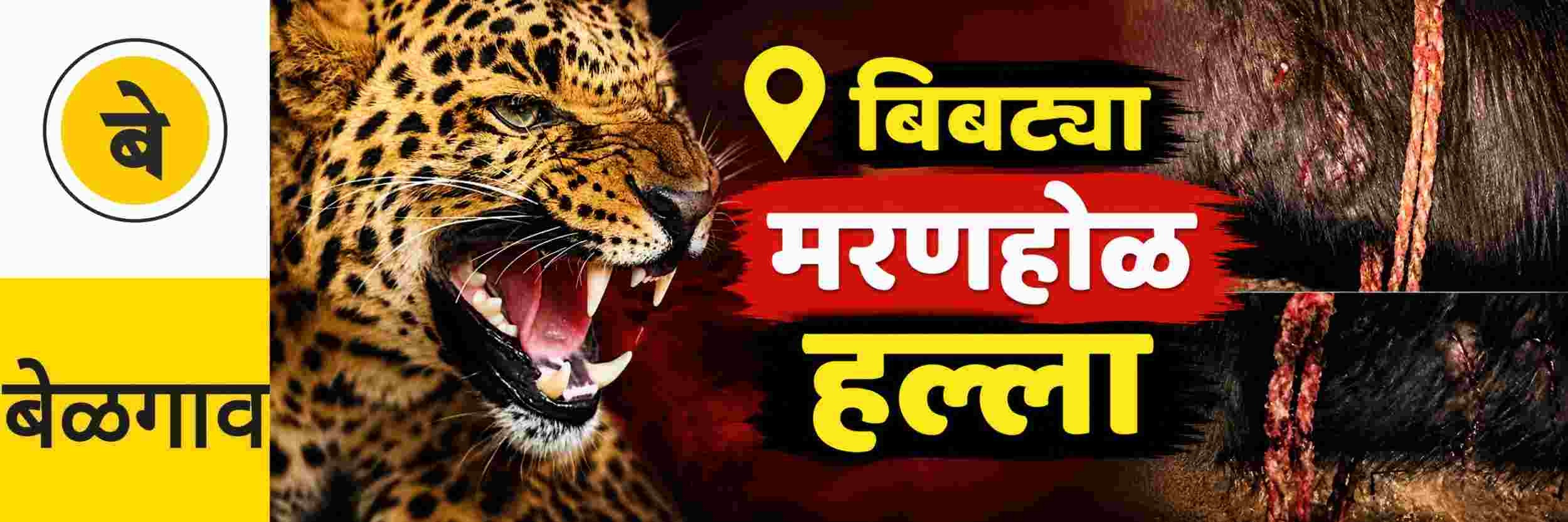 news_71128