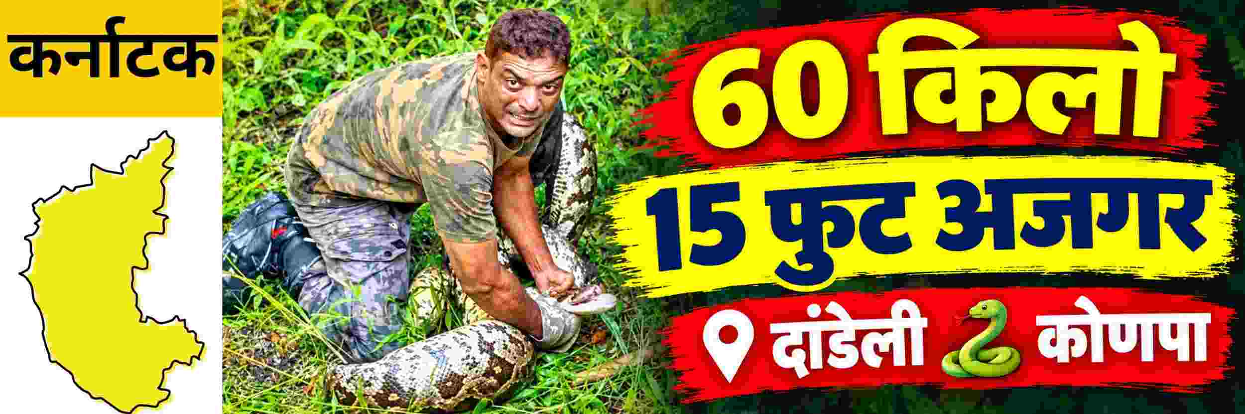 @ कर्नाटक; दांडेलीजवळ आढळला 60 किलोंचा 15 फुटी अजगर