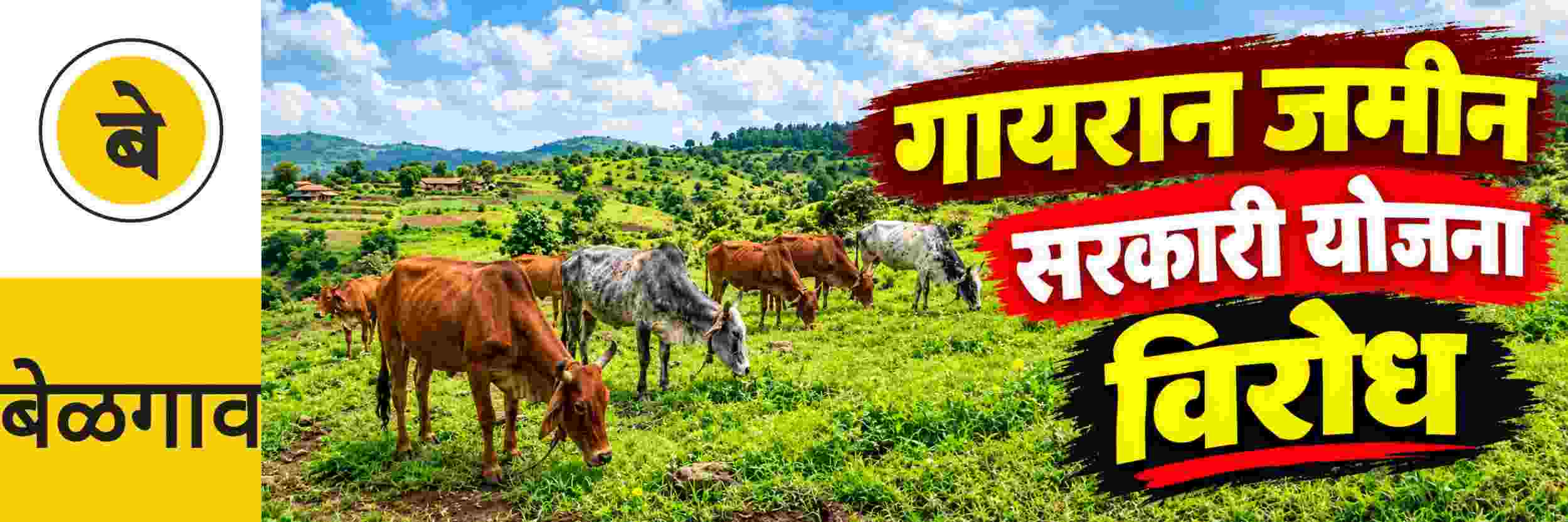 news_72239