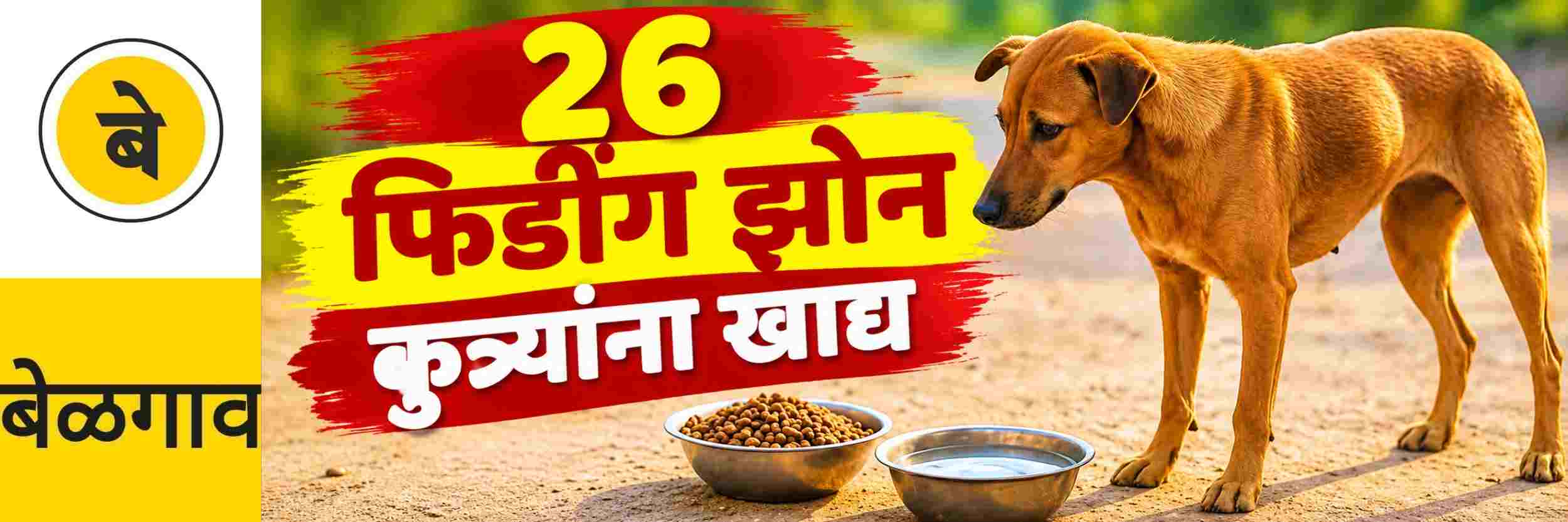 @ बेळगाव; कुत्र्यांसाठी 26 फिडींग झोन जाहीर