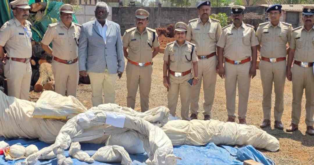 बेळगाव : नावगे येथील कारखान्यात नष्ट | 600 किलो गांजा, चरस, अफिम