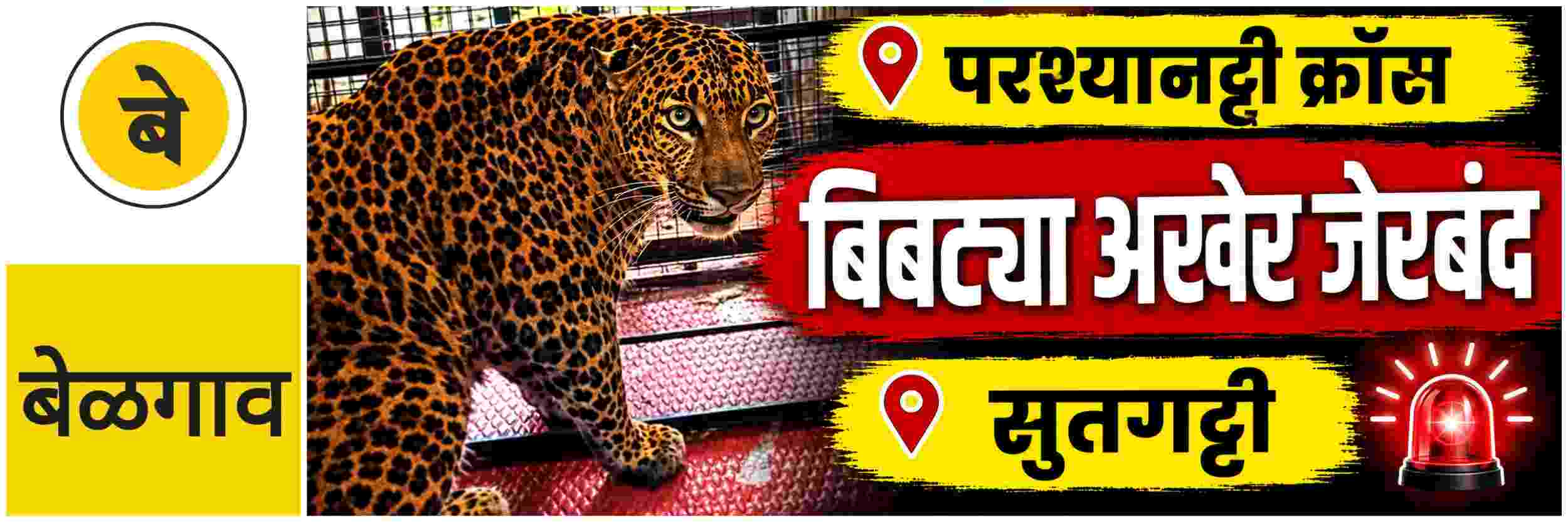 news_70602