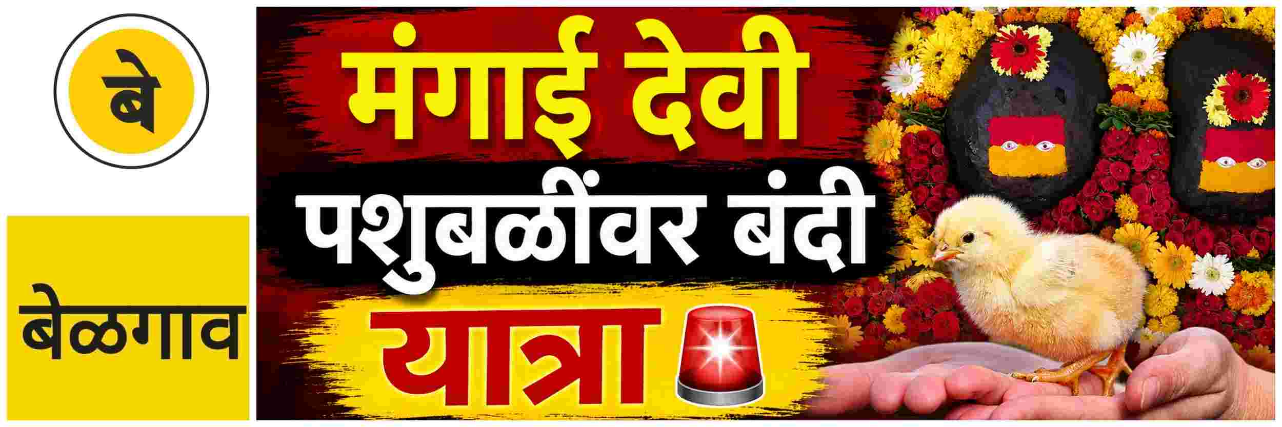 @ बेळगाव; श्री मंगाई देवी यात्रा; @वडगाव; यात्रेत पशुबळींवर बंदी