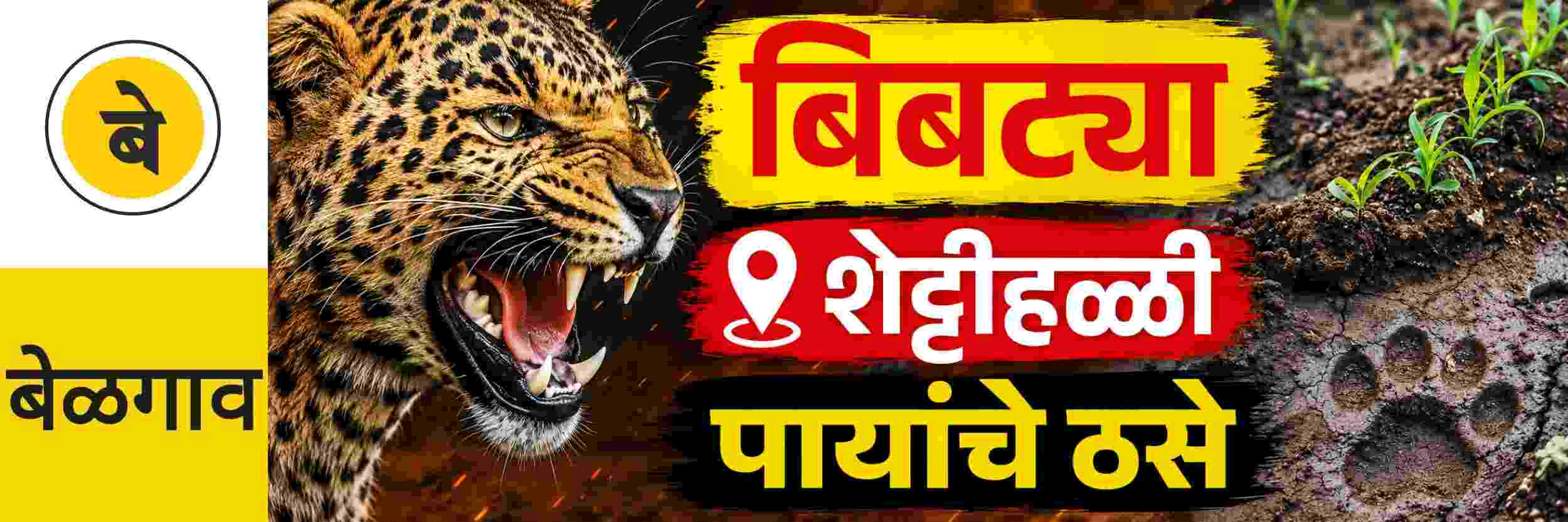 @ बेळगाव; @ शेट्टीहळ्ळी; बिबट्या