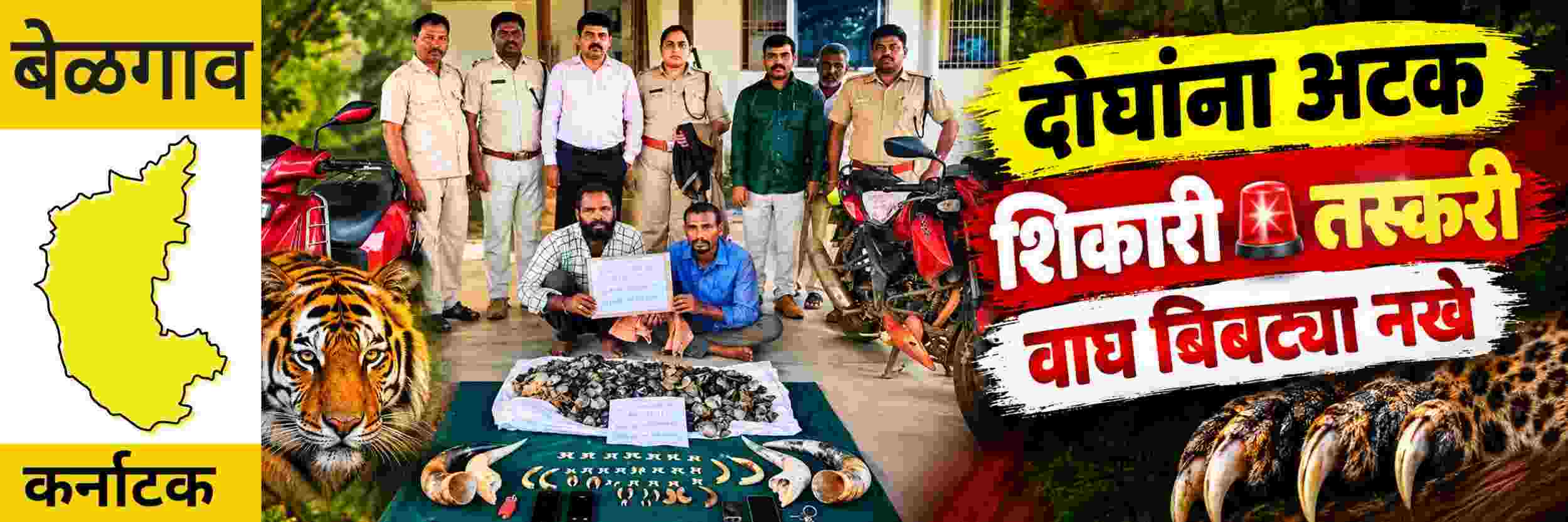 @ कर्नाटक; दोघांना अटक; वन्यजीव अवयवांची तस्करी;