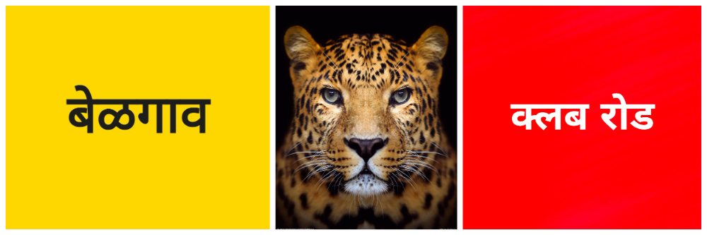 बेळगाव; बिबट्या आल्याची चर्चा; @ क्लब रोड