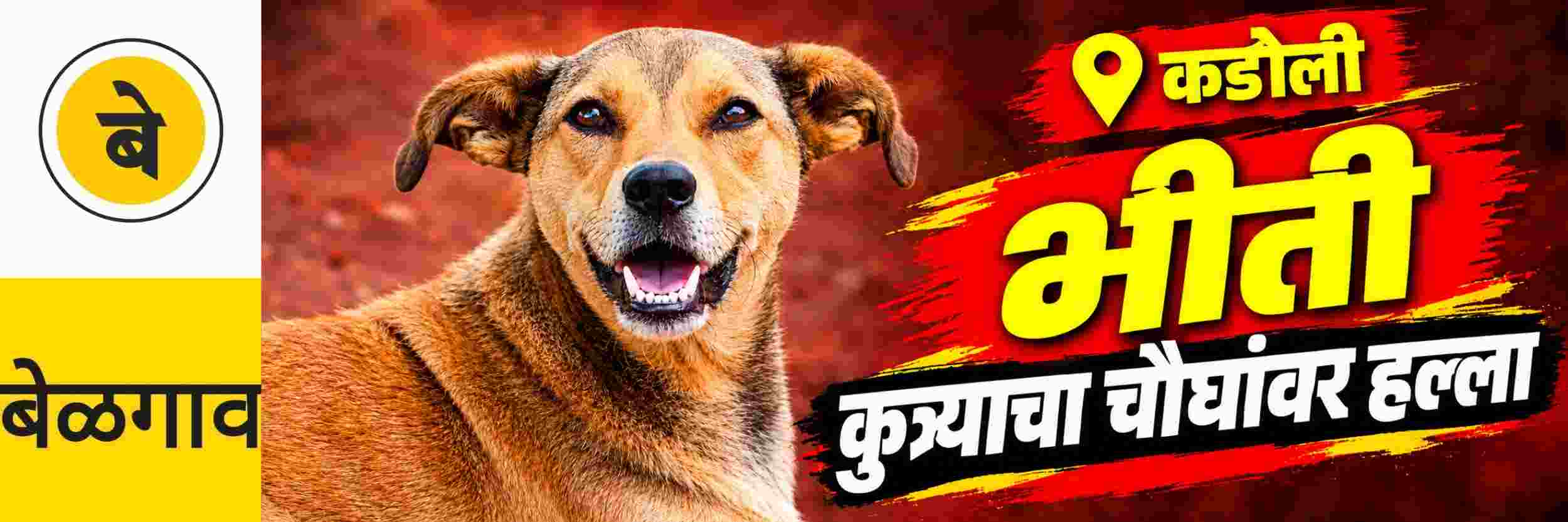 news_71557