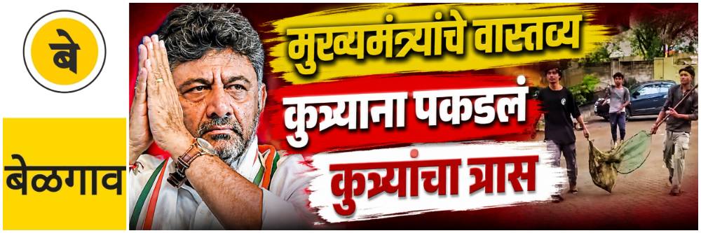 @ बेळगाव; मुख्यमंत्र्यांचे वास्तव्य अन् कुत्र्यांचा उपद्रव; कुत्र्यांना पकडलं