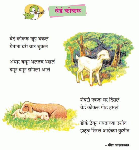 news_62212