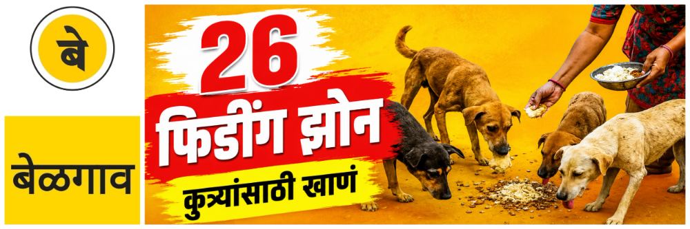 news_70080