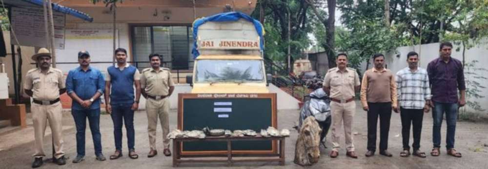 बेळगाव : ₹ 8 लाखांचा घोडा चोरीला @अनगोळ