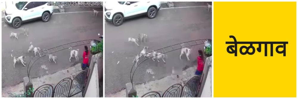 बेळगाव; मुलीच्या अंगावर 7 कुत्री धावून गेली