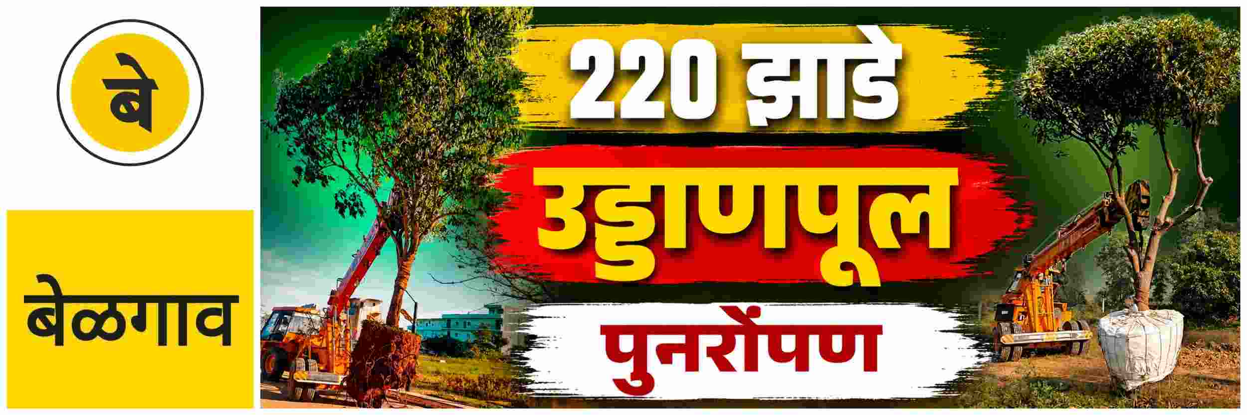 @ बेळगाव; 220 झाडांचे होणार पुनर्रोपण; flyover