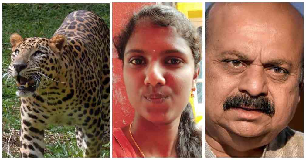कर्नाटक : बिबट्याने 21 वर्षीय विद्यार्थीनिला ठार मारले...