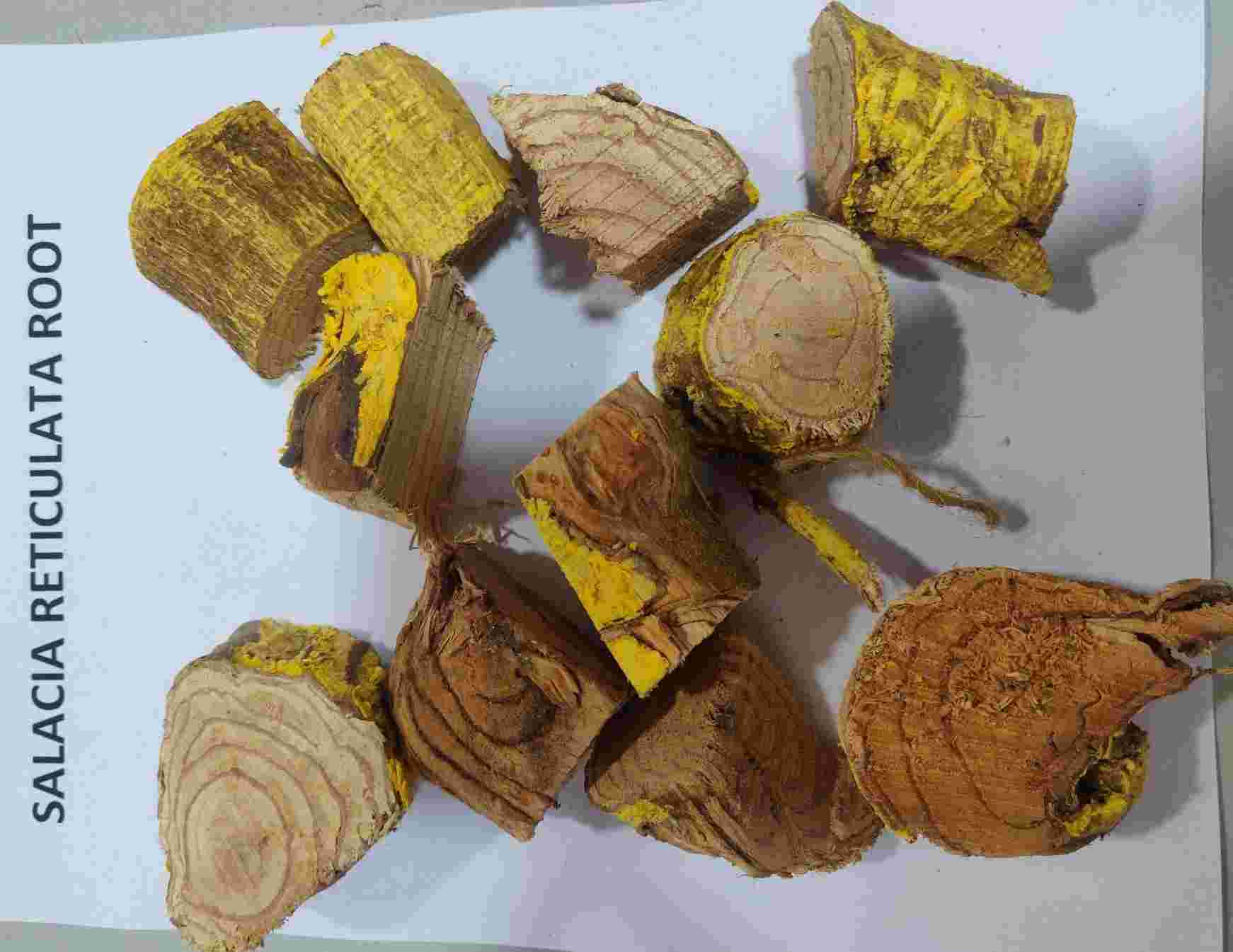'त्या' वनस्पतीच्या मुळात असे काय होते? 4 जण तुरुंगात