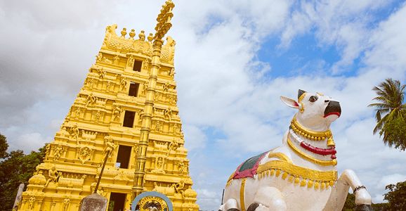 cockroach-in-srisailam-laddoo-srisailam-devasthanam-temple-sri-bhramaramba-mallikarjuna-swamy-temple-in-srisailam-andhra-pradesh-202506.jpg | प्रसिद्ध श्रीशैलम मंदिराच्या लाडू प्रसादात झुरळ; | belgaum news | belgavkar बेळगावकर