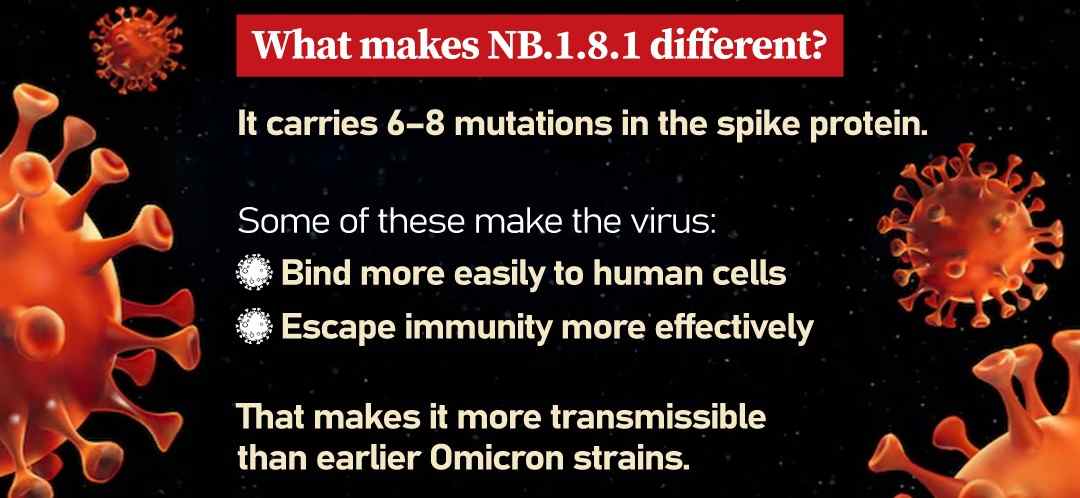 covid-positivity-rate-high-nb-variant-increased-who-warns-202505.jpg | एक वर्षानंतर कोविड पॉझिटिव्हिटी दर जास्त | belgaum news | belgavkar बेळगावकर