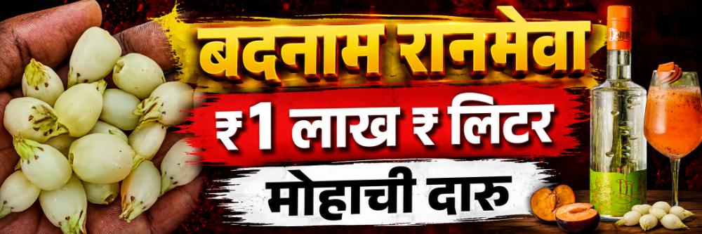 आदिवासींची दारु ₹ 1 लाख रुपये लिटर;