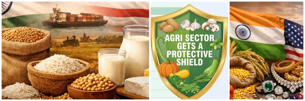 तांदूळ, गहू, बाजरी दूध आणि चीज; कृषी बाजारपेठेला संरक्षण