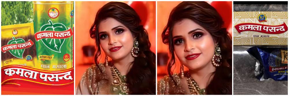 कमला पसंद आणि राजश्री पान मसाला कंपनीच्या मालकाची सुन;