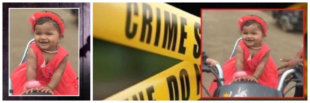 नराधम चुलत्याचे क्रौर्य; 13 महिन्यांच्या पुतणीचे 7 तुकडे