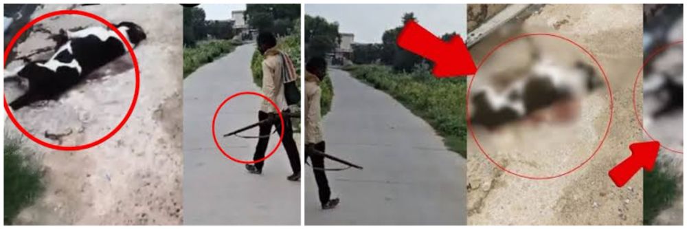 news_59908