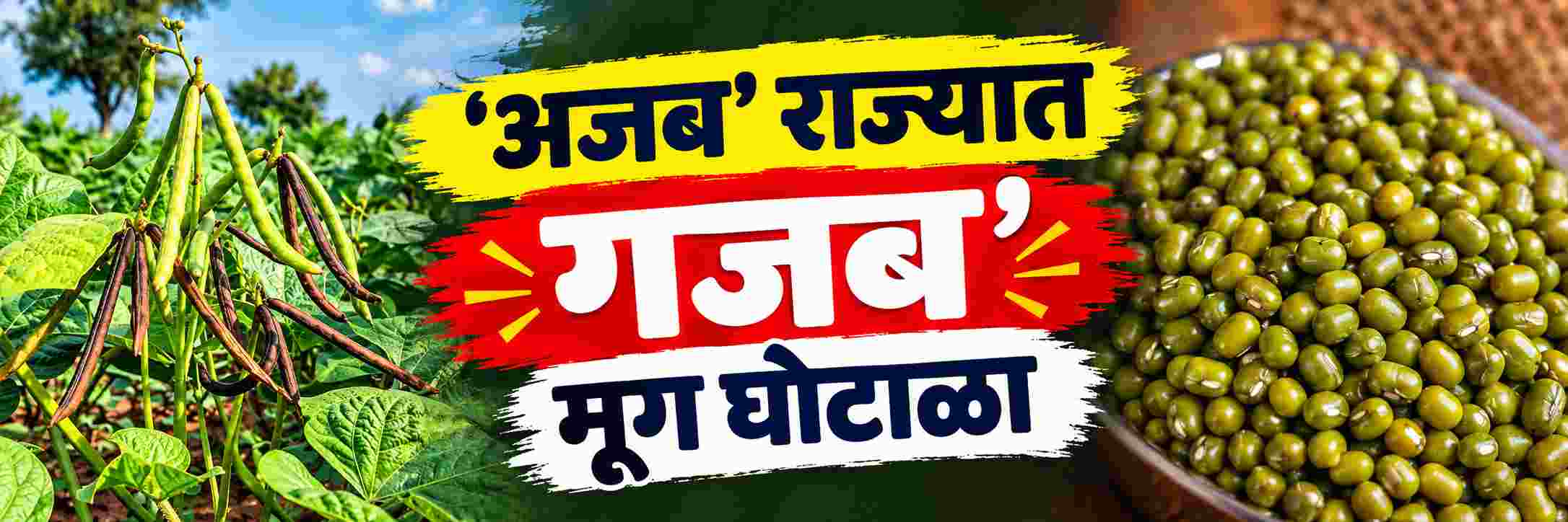 news_71542