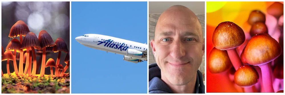 मॅजिक मशरुम खाल्ल्याने झिंग चढली; पायलटचं विमातच भयंकर कृत्य;