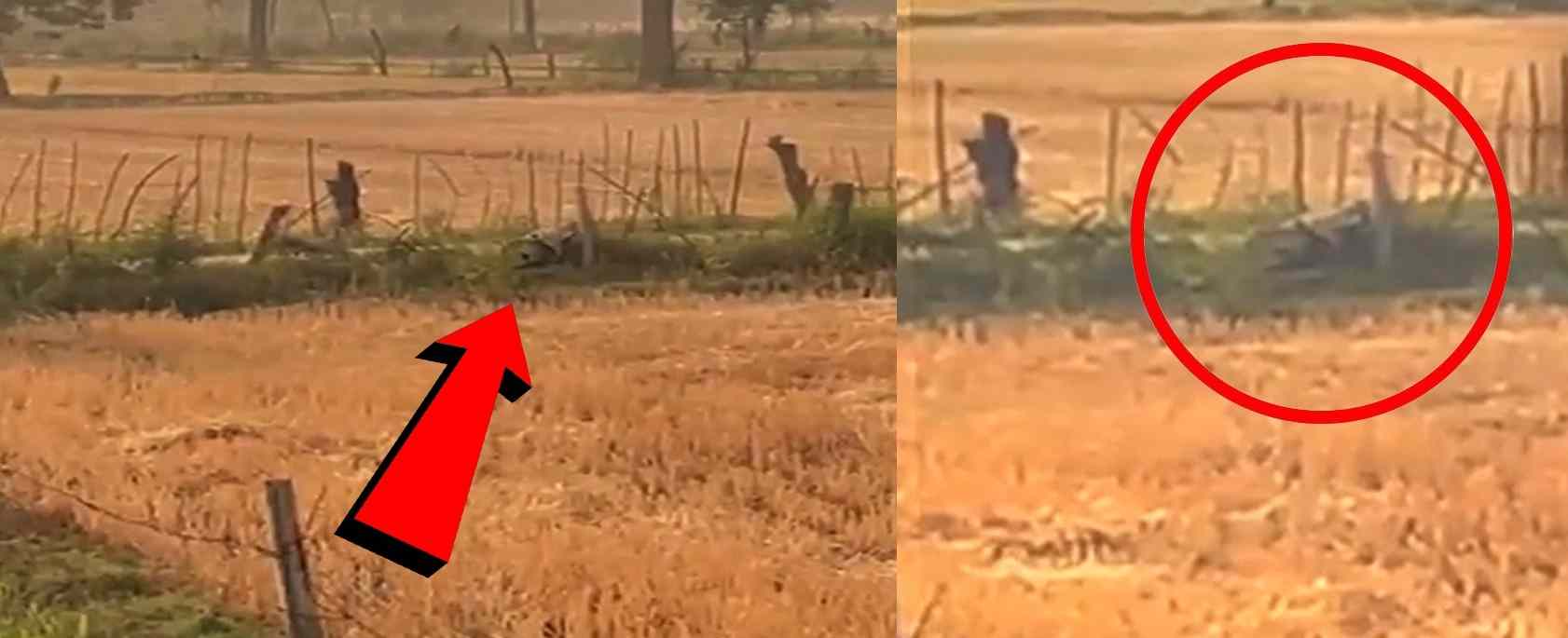 india-shoots-down-pakistani-drone-in-punjabs-bhatinda-202505.jpg | भटिंडाचं लष्करी केंद्र उद्ध्वस्त करण्यासाठी ड्रोन पाठवला, पण… | belgaum news | belgavkar बेळगावकर