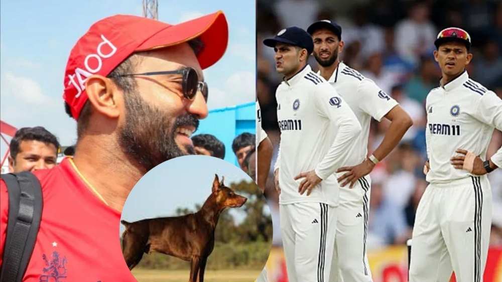 indias-batting-line-up-is-like-a-dobermann-dog-dinesh-karthik-highlights-viral-description-as-england-win-eng-v-ind-2025-watch-no-tail-at-all-dinesh-karthik-reads-x-post-doberman-dog-202506_1.jpg | VIDEO : उडवली खिल्ली, म्हणाला 'टीम इंडियाची बँटिंग म्हणजे डॉबरमॅन कुत्र्यासारखी...' | belgaum news | belgavkar बेळगावकर