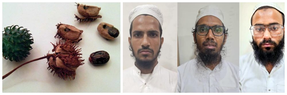 एरंड्याच्या बियांपासून घातक विष; दहशतवाद्यांना करायचा होता विषप्रयोग
