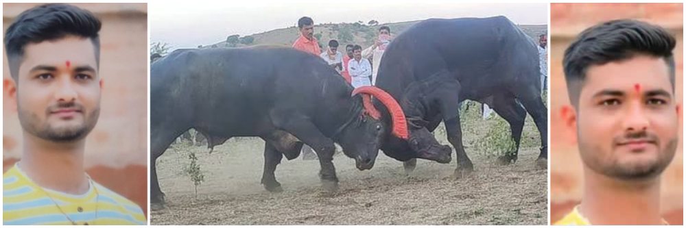 #झुंज; नाद केला अन् वाया गेला; 15 दिवसांपूर्वी लग्न झालेला तरुण हकनाक मेला, भरदिवसा हत्या