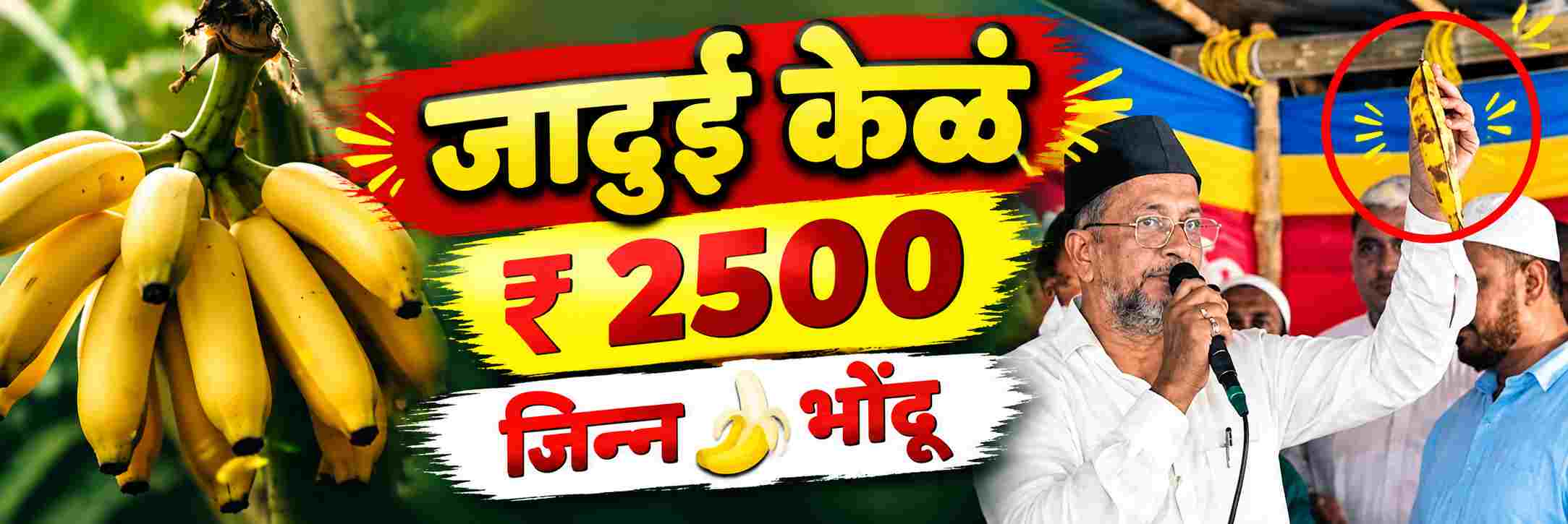 news_71485