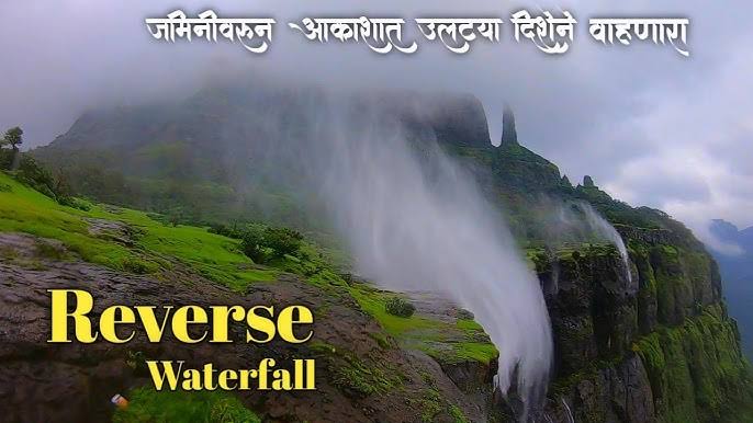 junnar-valley-deaths-investigation-tragic-end-in-junnar-talathi-ramesh-suryawanshi-and-student-priyanka-kale-found-dead-in-1200-foot-gorge-at-konkan-kada-202506.jpeg | पांढरी गाडी, चपला अन्... जुन्नरमध्ये तलाठी आणि कॉलेज तरुणीची बॉडी सापडली | belgaum news | belgavkar बेळगावकर
